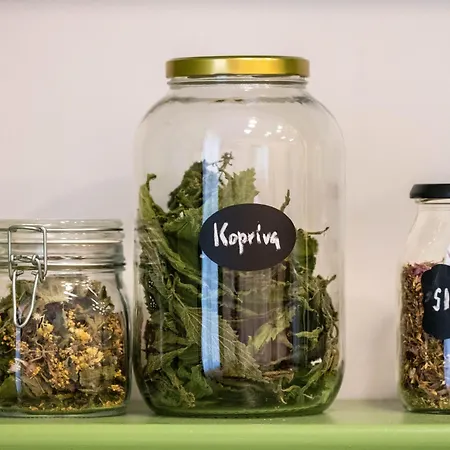 Jane's Place, Experience The Atmosphere Of A Historic & Free Parking Apartment