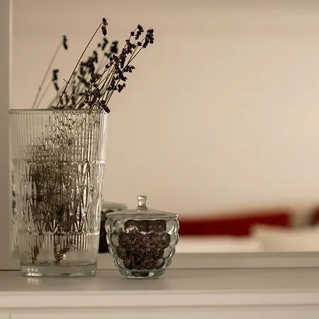 Jane's Place, Experience The Atmosphere Of A Historic & Free Parking Appartement