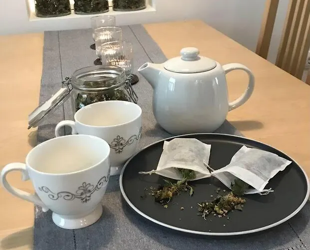 Jane's Place, Experience The Atmosphere Of A Historic & Free Parking ليوبليانا