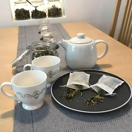 Jane's Place, Experience The Atmosphere Of A Historic & Free Parking Liubliana