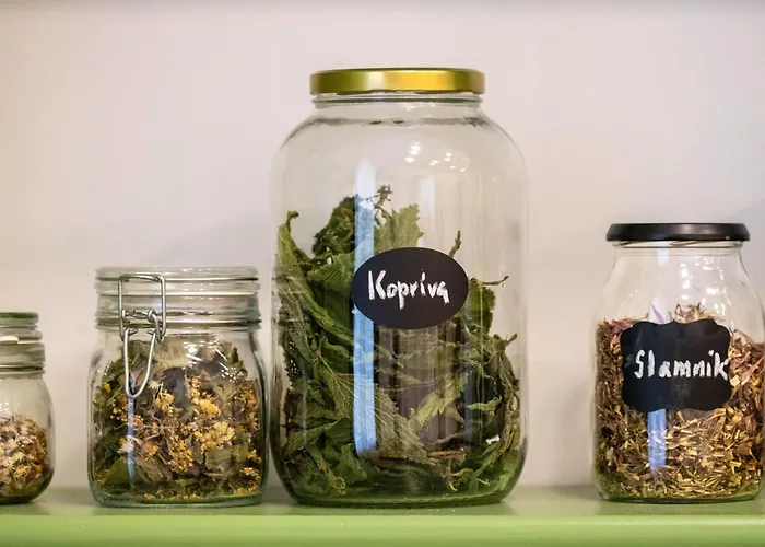 Jane's Place, Experience The Atmosphere Of A Historic & Free Parking Apartman