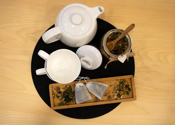 Jane's Place, Experience The Atmosphere Of A Historic & Free Parking Ljubljana